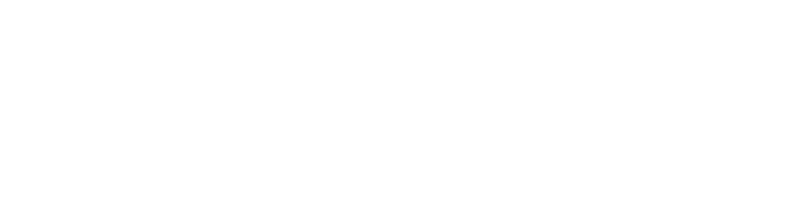 WeRide-Registered-logo-wht_ART